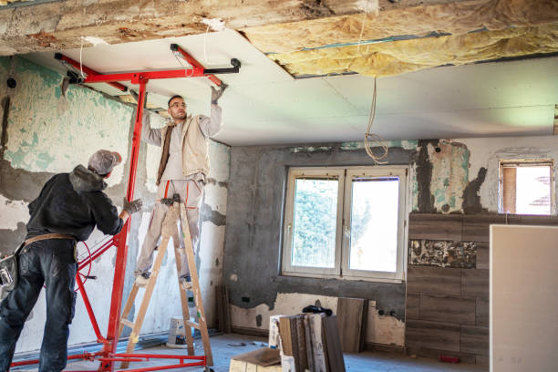 Best Cellulose Insulation  in Southchase, FL