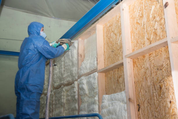 Best Insulation Installation Cost  in Southchase, FL